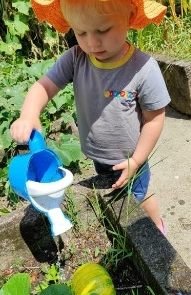 Criança regando a horta