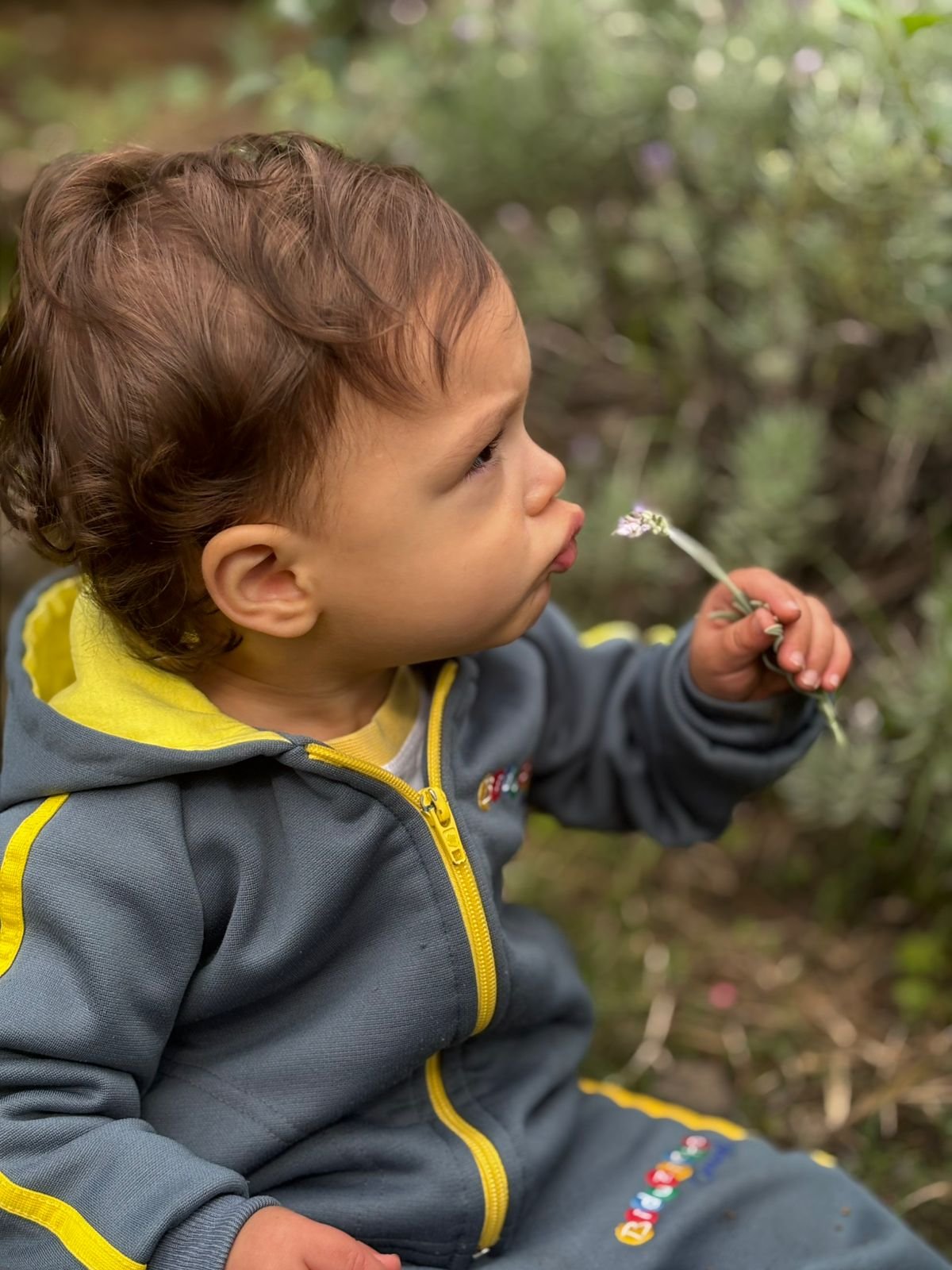 Bebê soprando uma flor de lavanda no jardim