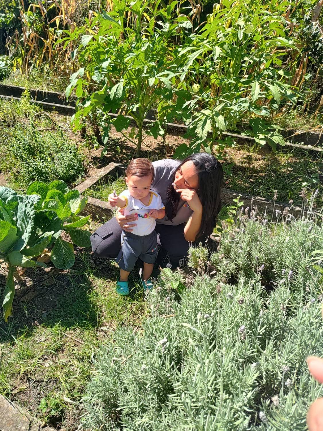 Educadora agachada com um bebê na horta, entre couves e lavandas
