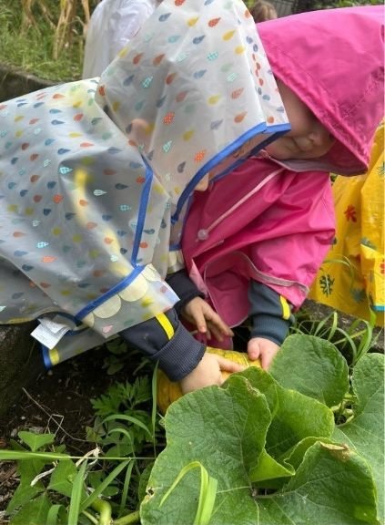 Crianças de capa de chuva mexendo nas folhas de abóbora