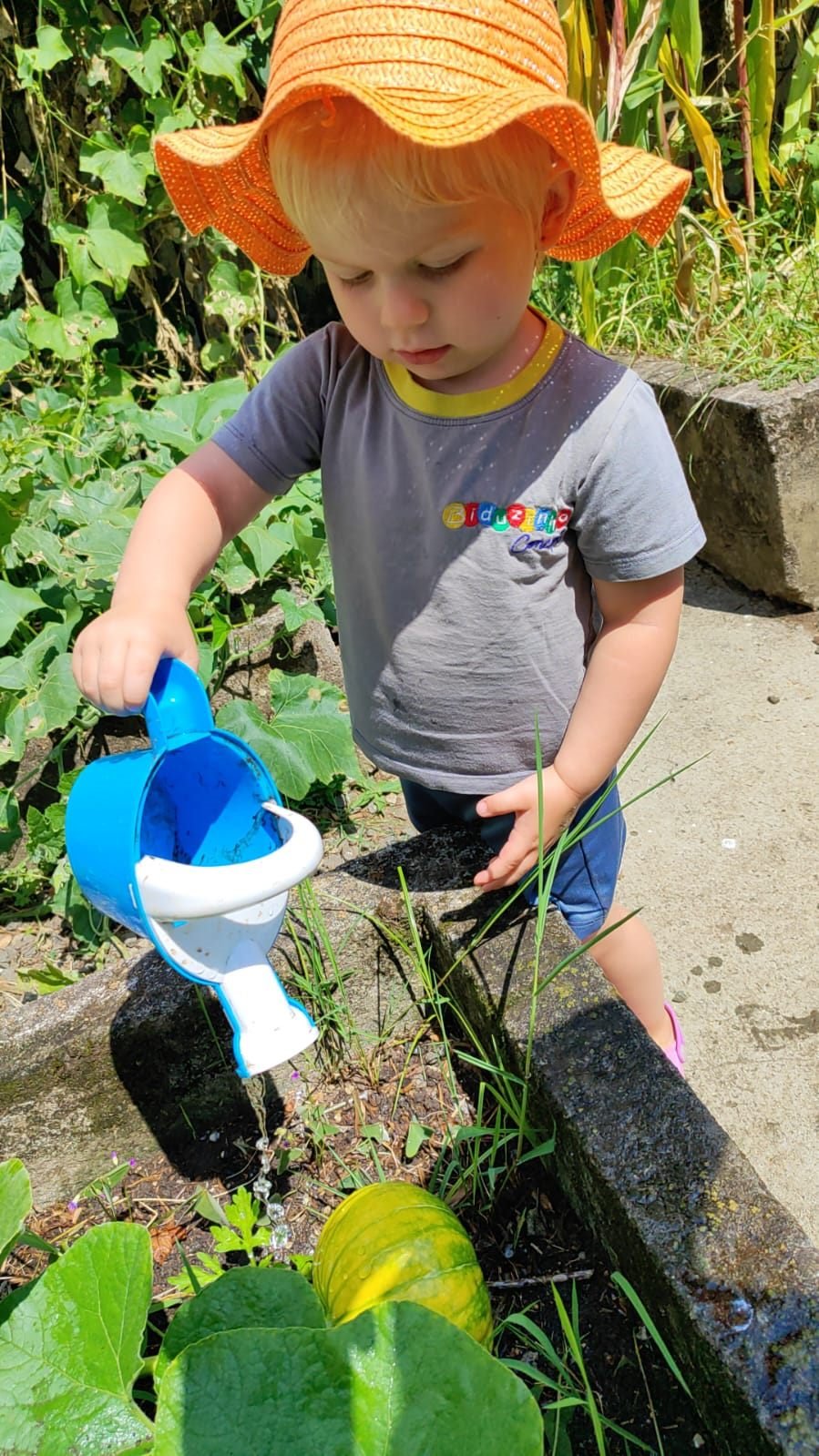 Menino de chapéu regando a horta