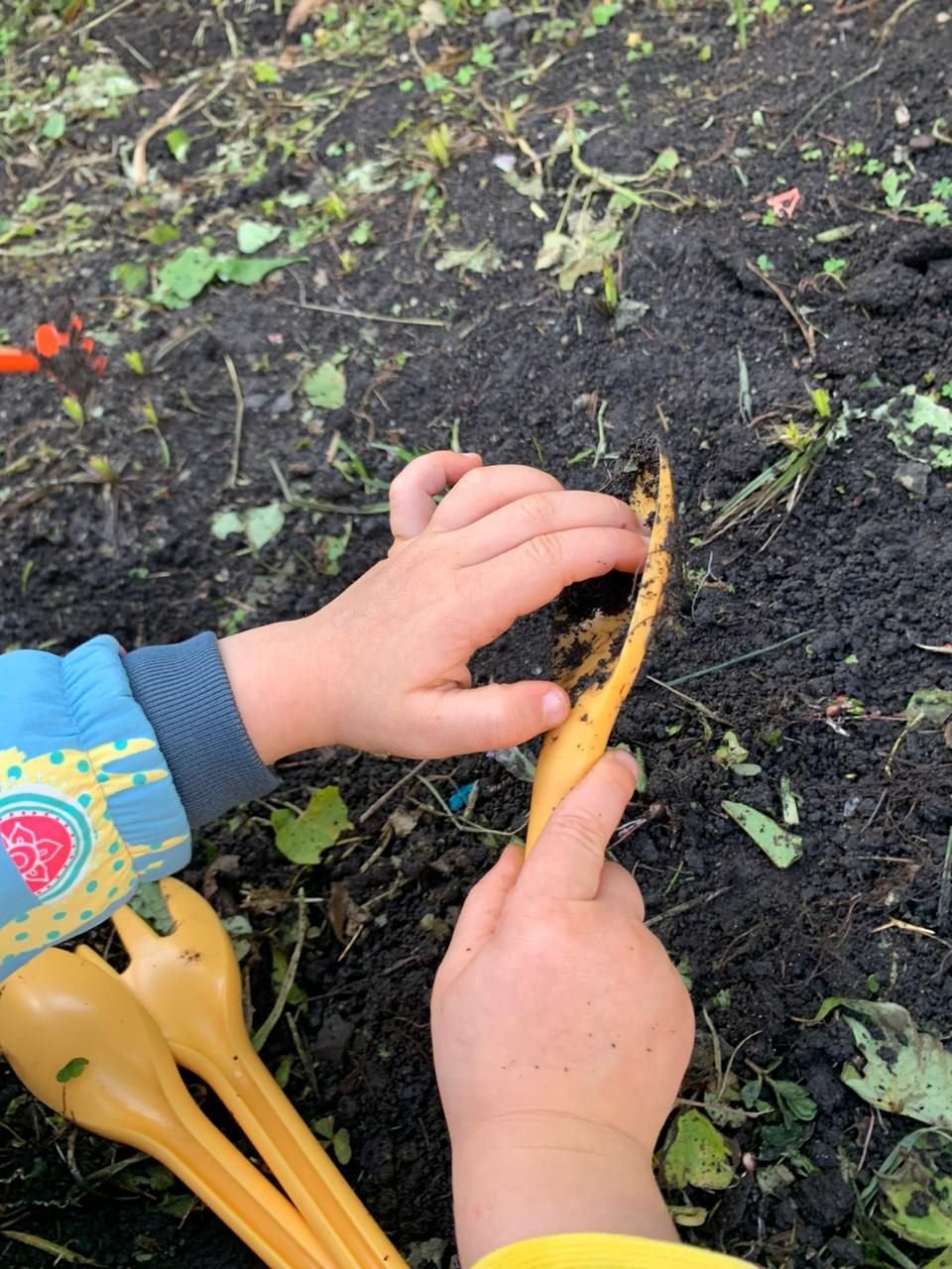 Mãos de criança cavando a terra com uma pá